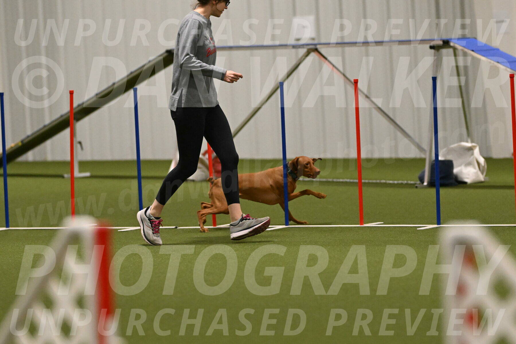 Indie-Jean-Bonness-02747