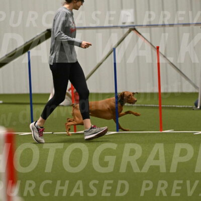 Indie-Jean-Bonness-02747