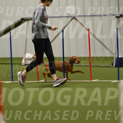 Indie-Jean-Bonness-02748