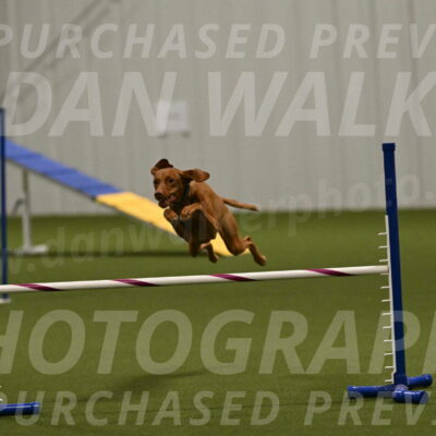 Indie-Jean-Bonness-02749