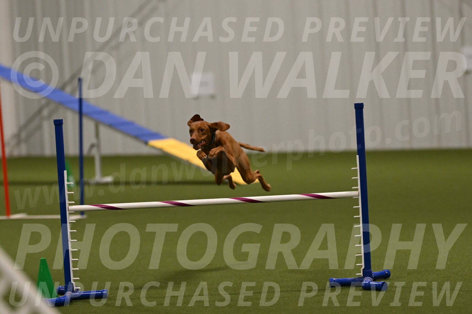 Indie-Jean-Bonness-02749