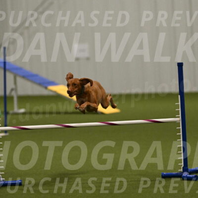 Indie-Jean-Bonness-02750