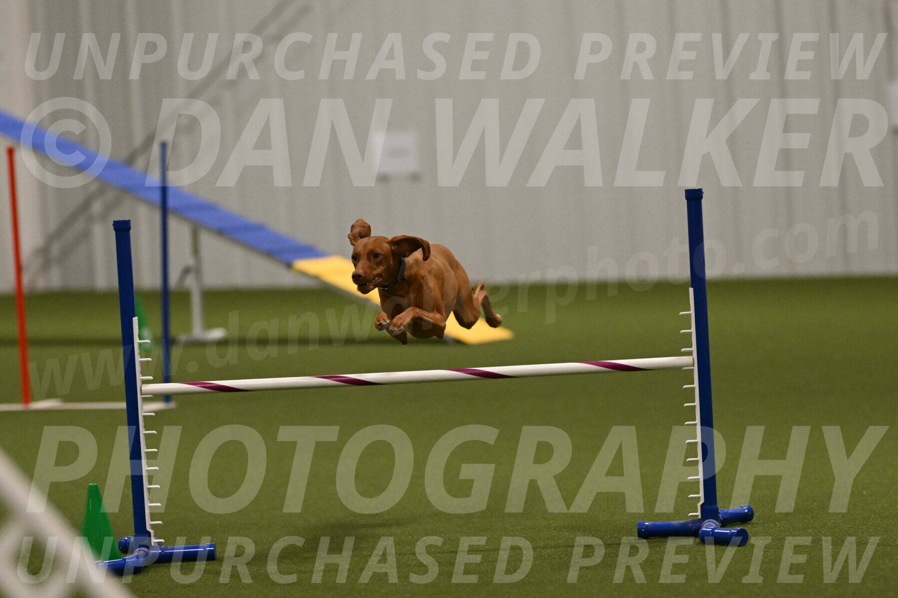 Indie-Jean-Bonness-02750