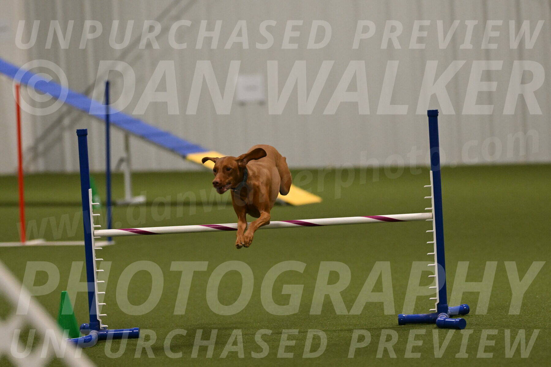 Indie-Jean-Bonness-02751