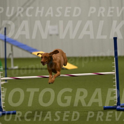 Indie-Jean-Bonness-02751