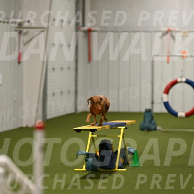 Indie-Jean-Bonness-02752