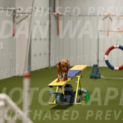 Indie-Jean-Bonness-02753