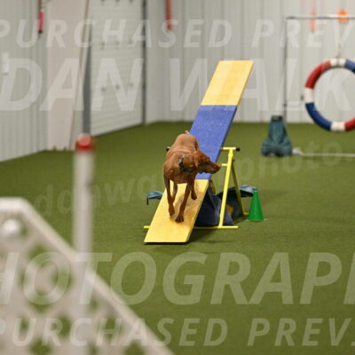 Indie-Jean-Bonness-02754