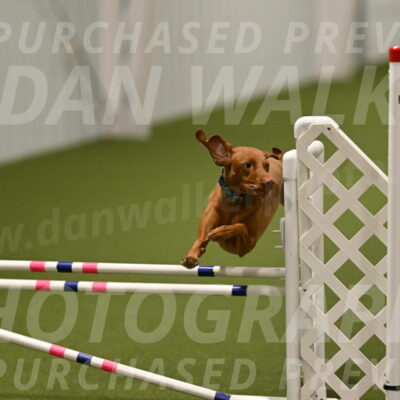 Indie-Jean-Bonness-02755