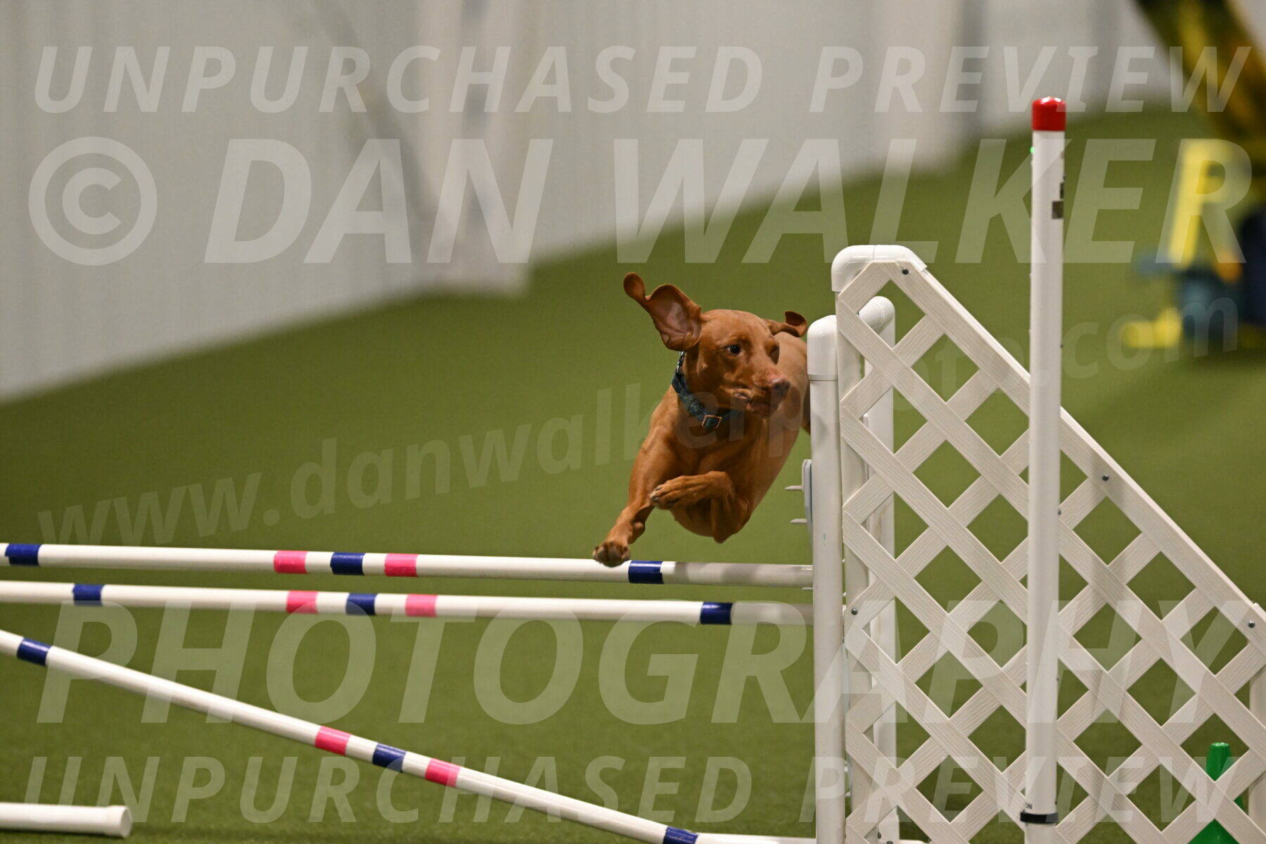 Indie-Jean-Bonness-02755