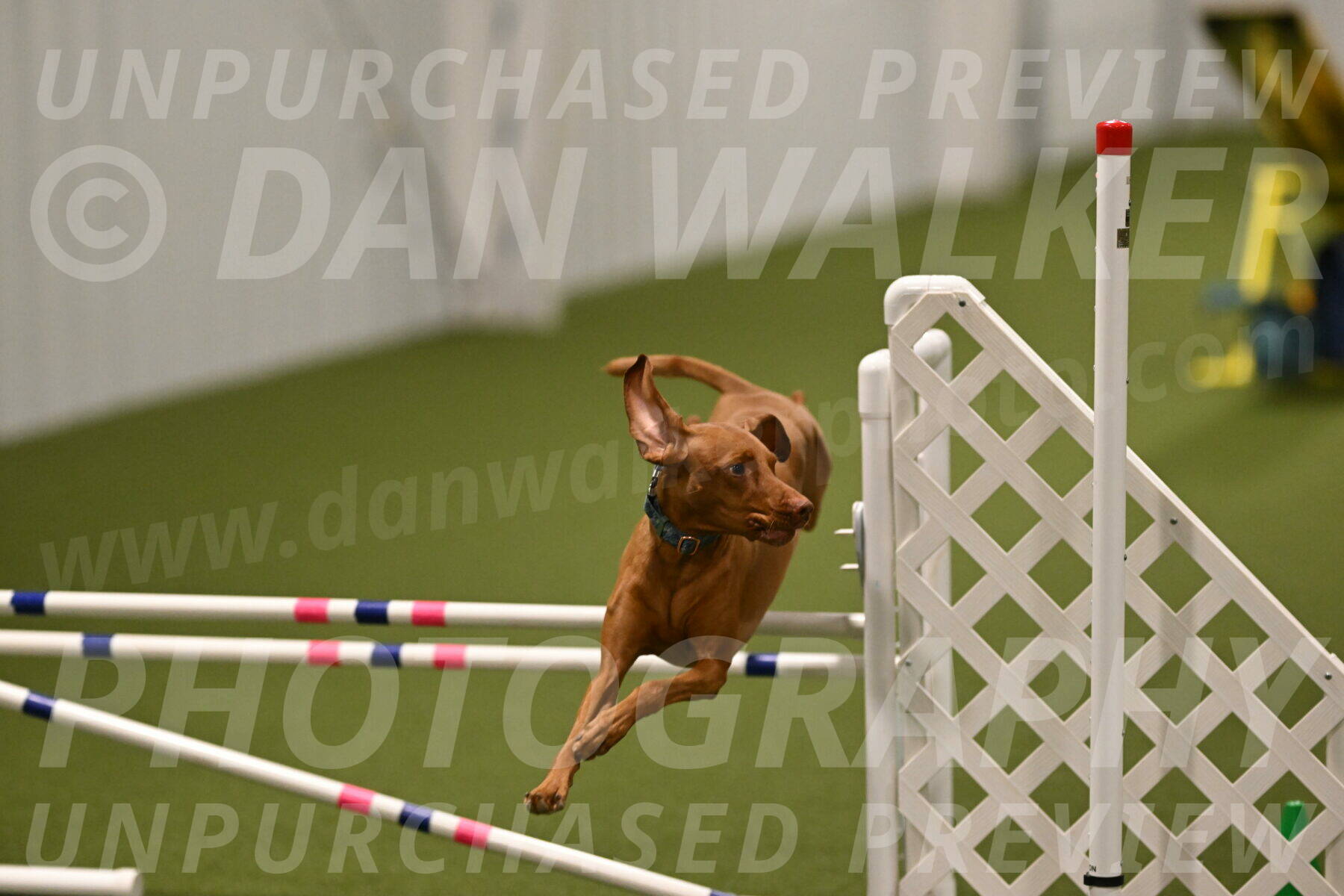 Indie-Jean-Bonness-02756