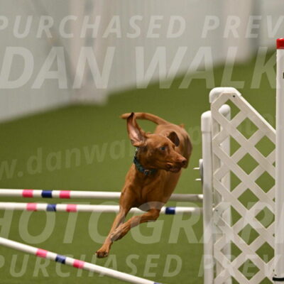 Indie-Jean-Bonness-02756