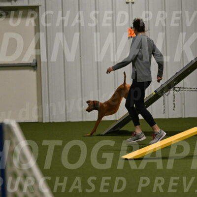 Indie-Jean-Bonness-02757