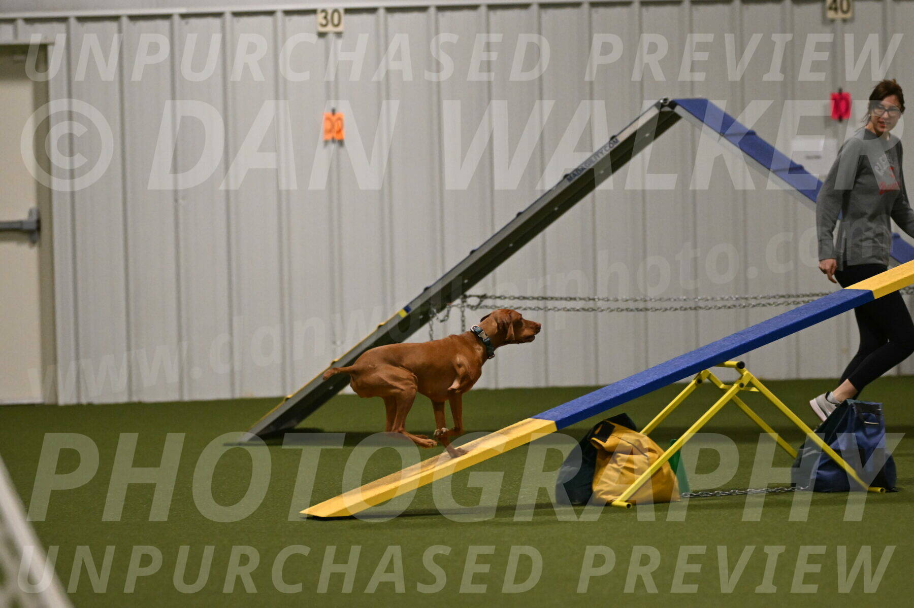 Indie-Jean-Bonness-02758