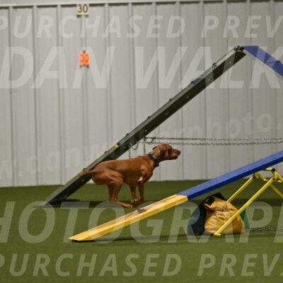 Indie-Jean-Bonness-02758