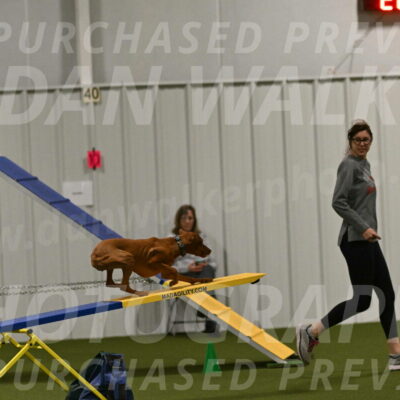 Indie-Jean-Bonness-02759