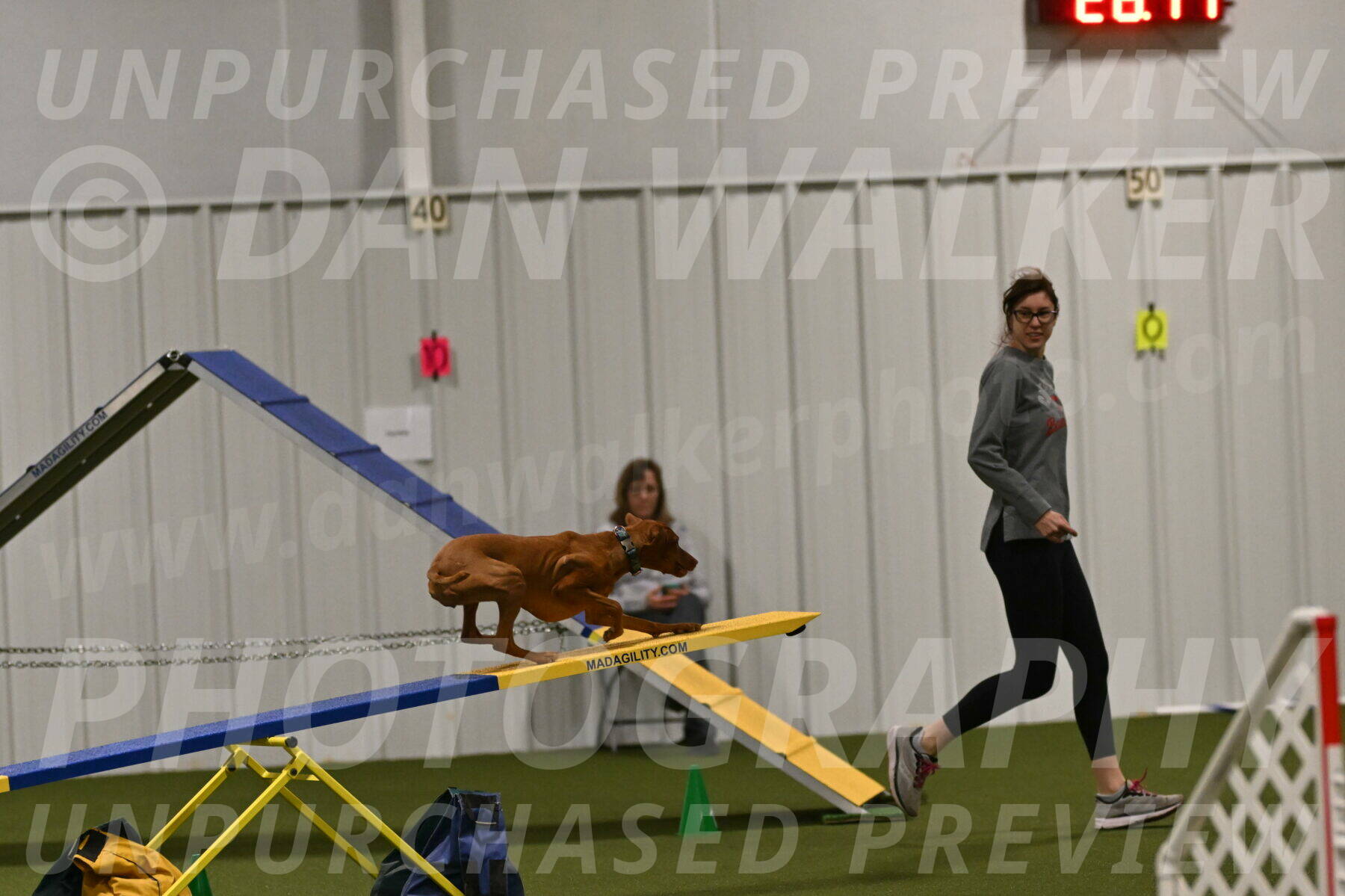 Indie-Jean-Bonness-02759