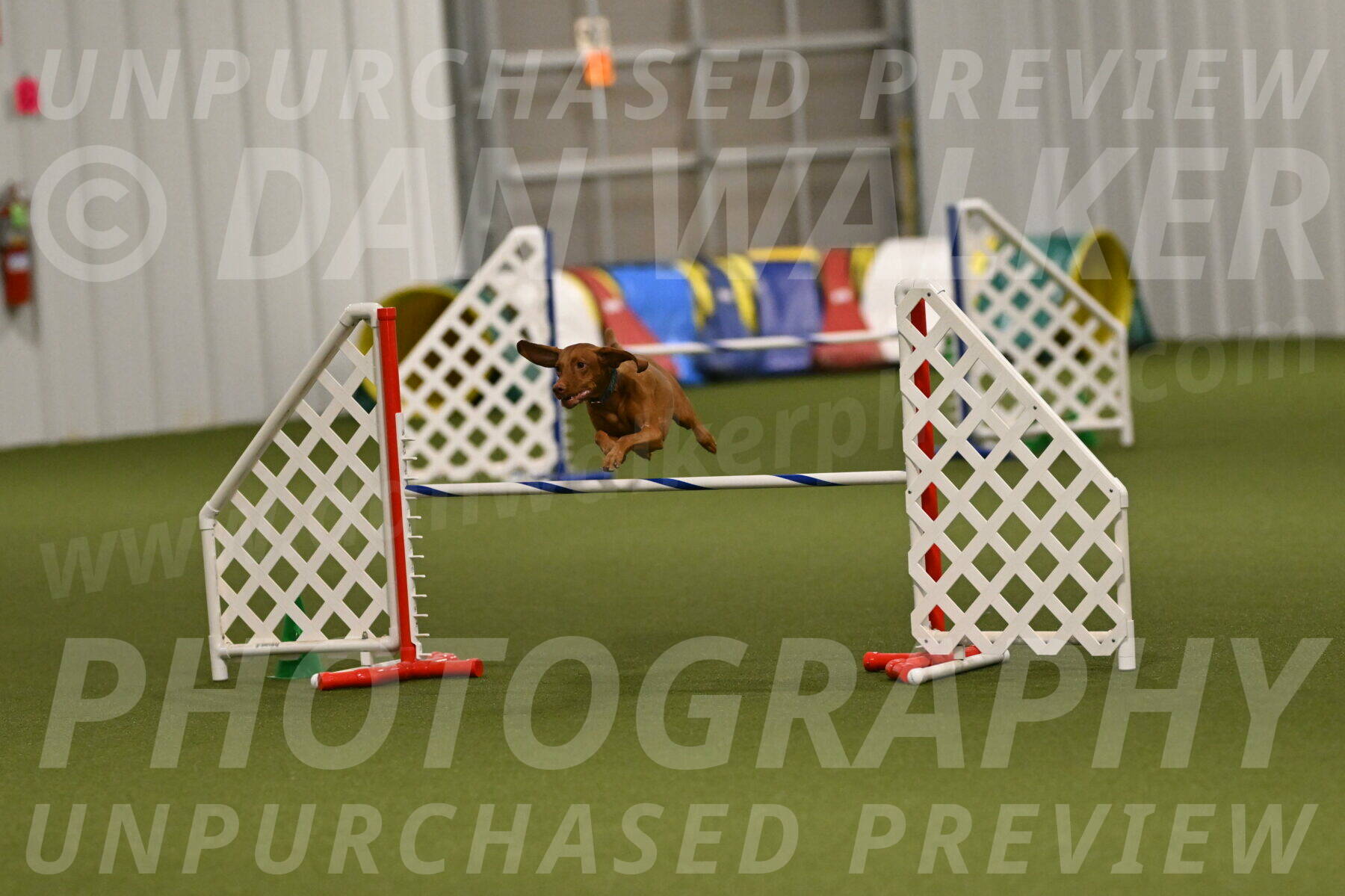 Indie-Jean-Bonness-02760