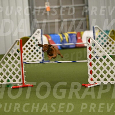 Indie-Jean-Bonness-02760