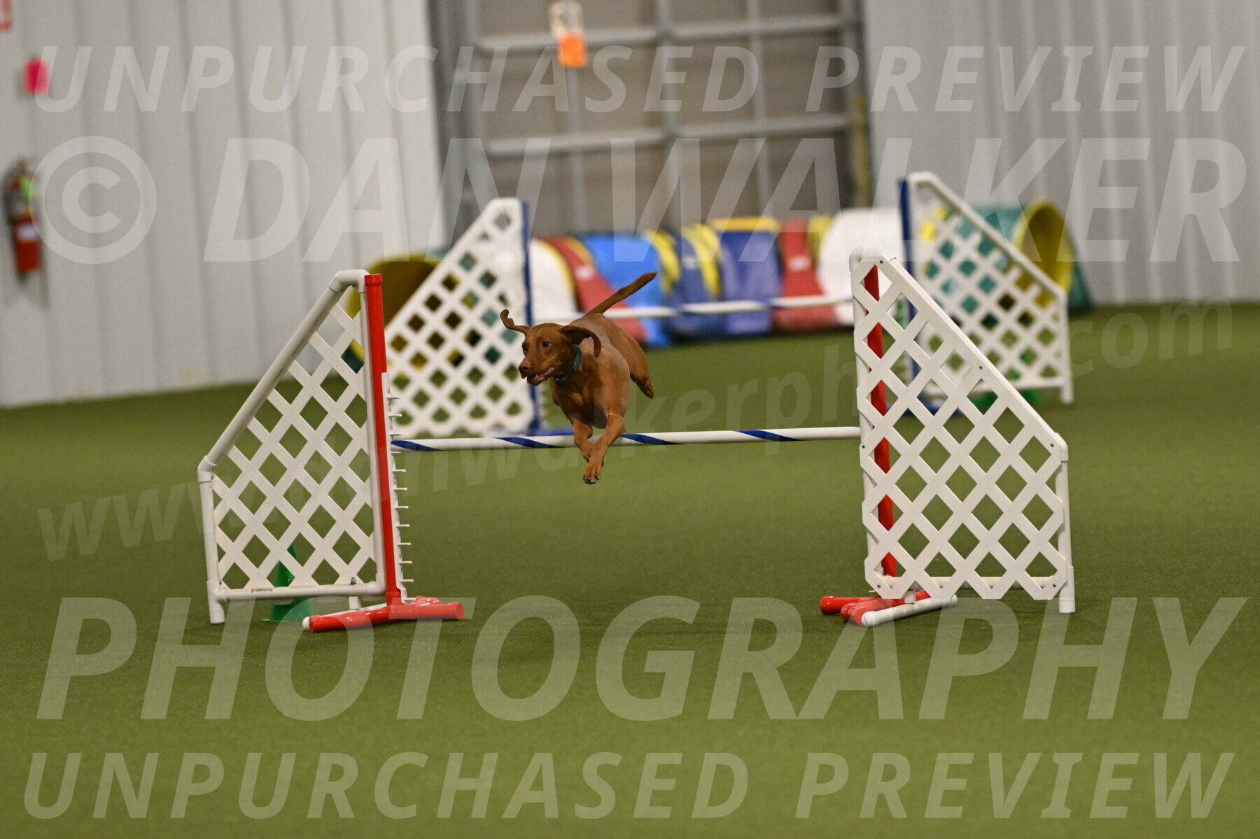 Indie-Jean-Bonness-02761