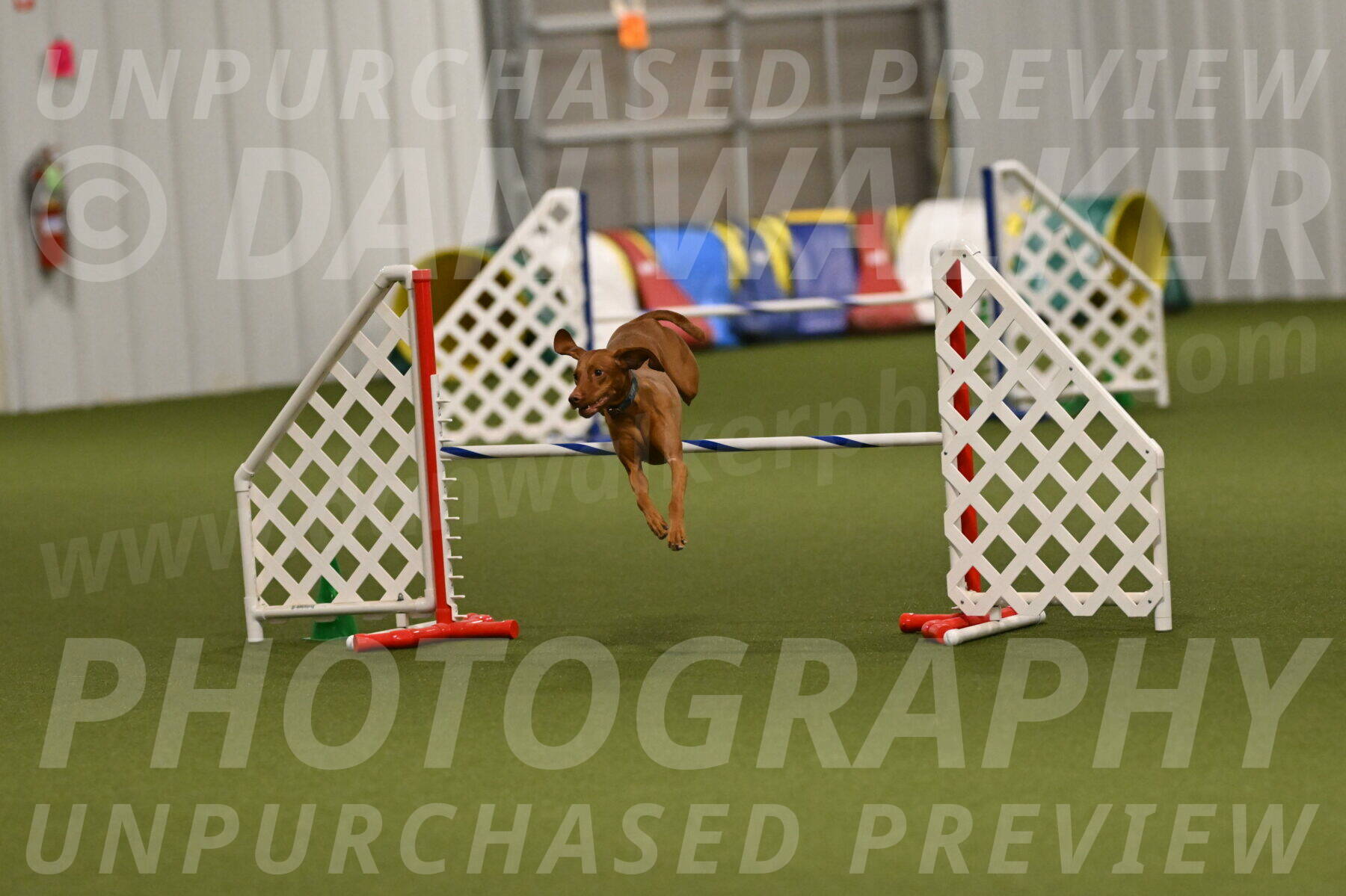 Indie-Jean-Bonness-02762