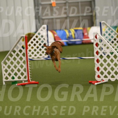 Indie-Jean-Bonness-02762