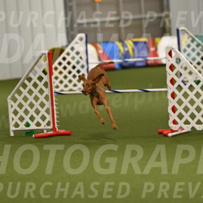 Indie-Jean-Bonness-02763