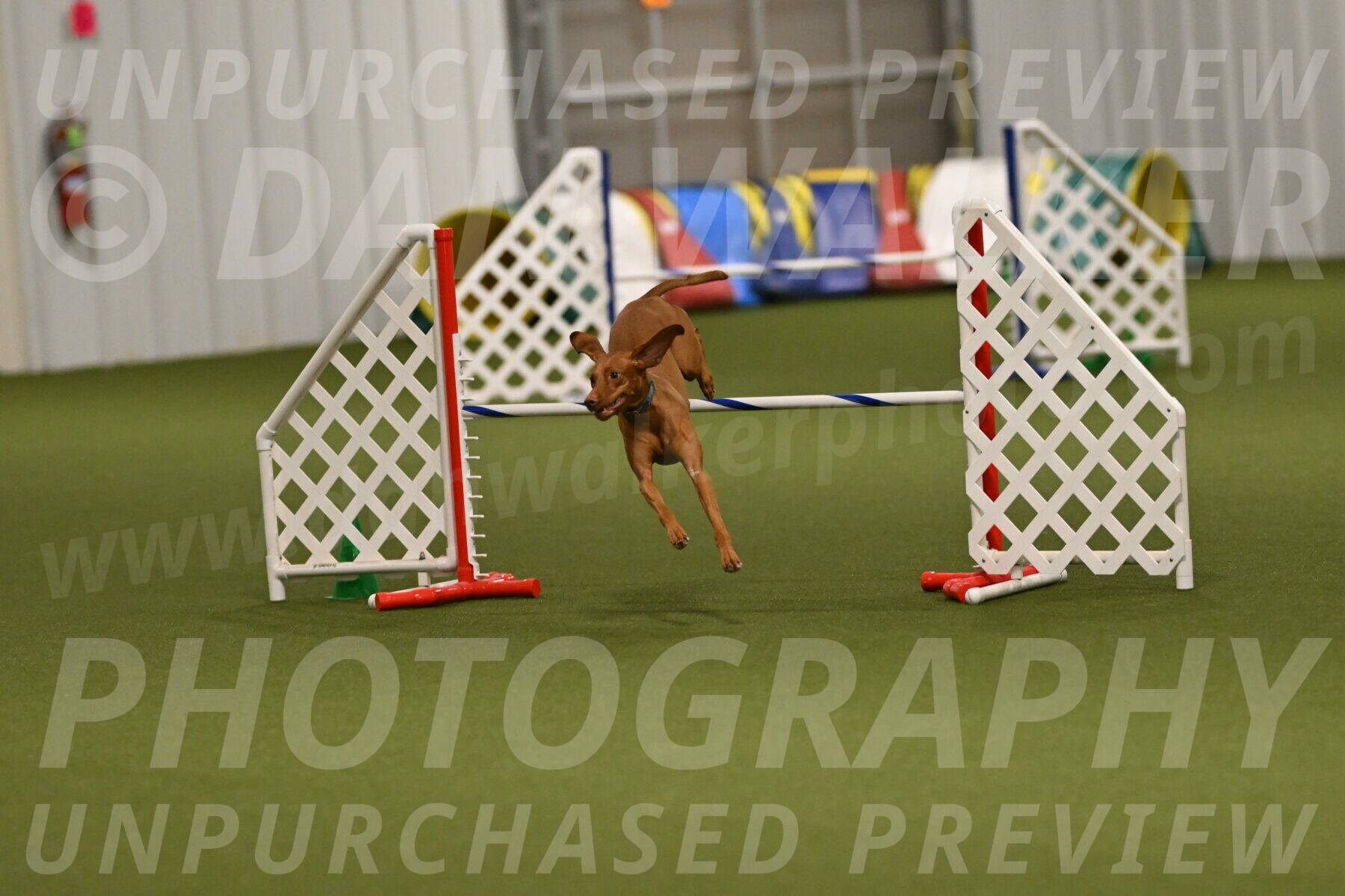 Indie-Jean-Bonness-02763