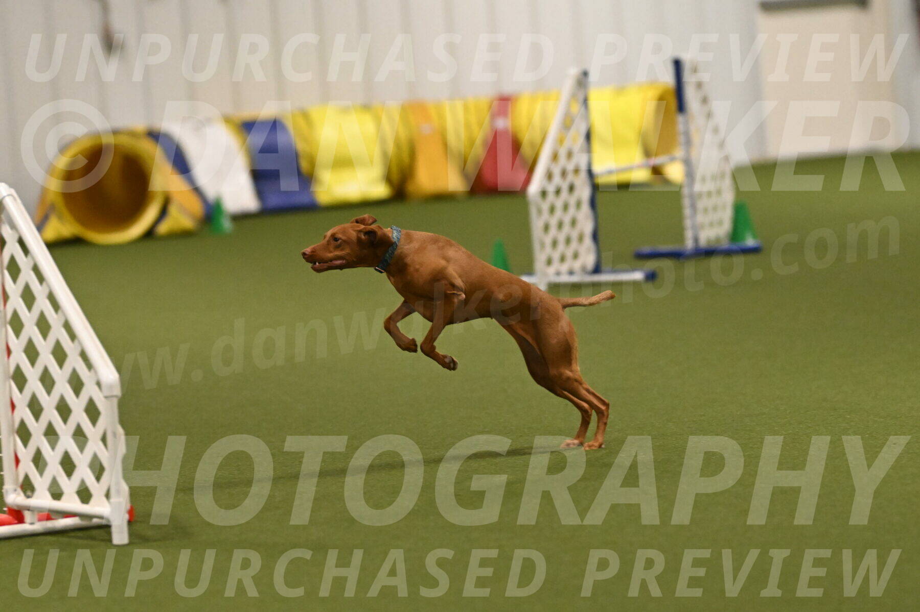 Indie-Jean-Bonness-02764