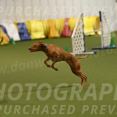 Indie-Jean-Bonness-02764