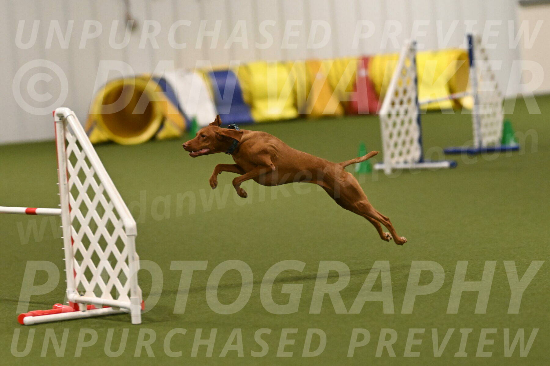 Indie-Jean-Bonness-02765