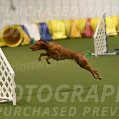 Indie-Jean-Bonness-02765