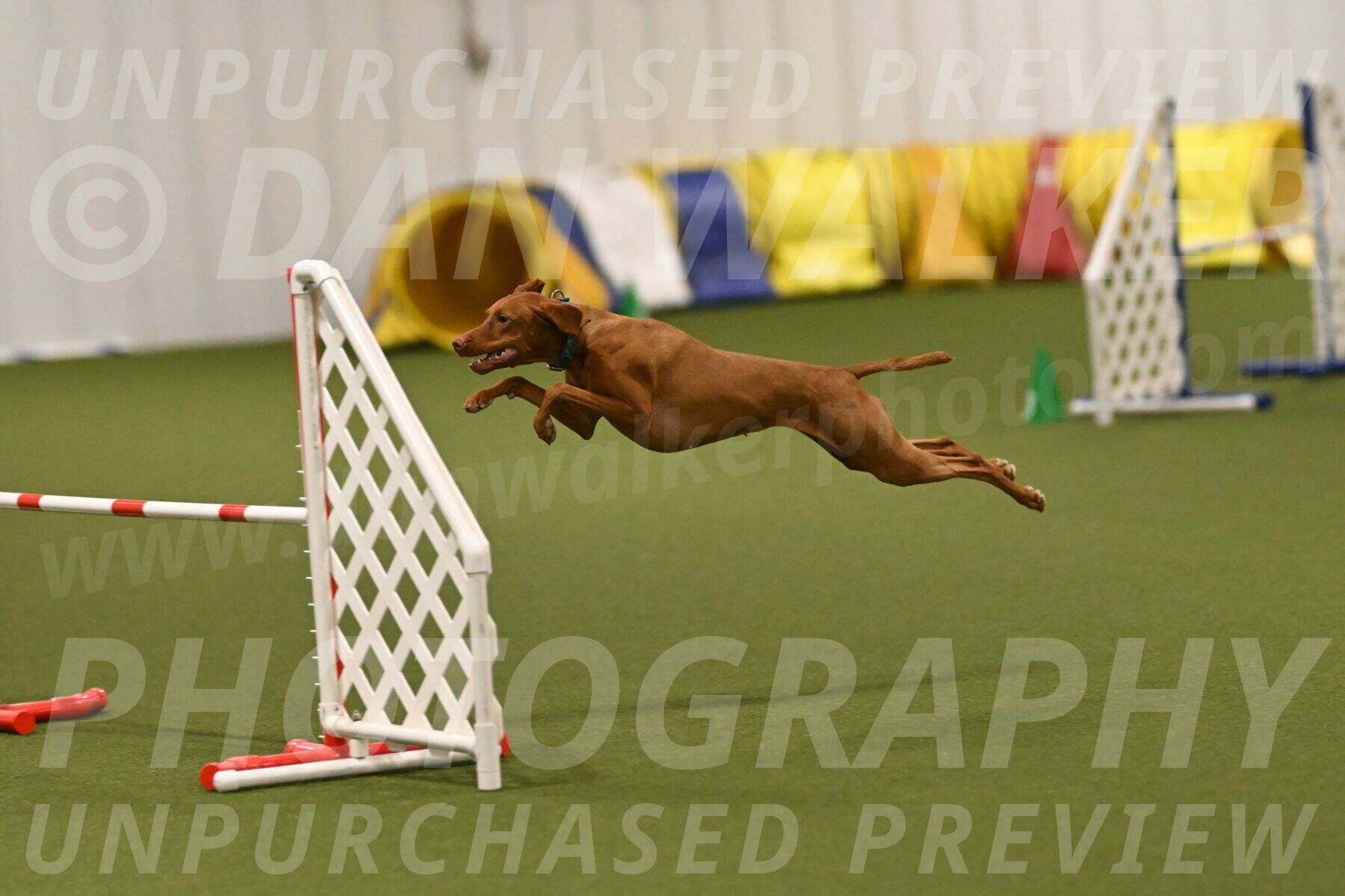 Indie-Jean-Bonness-02766