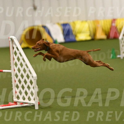 Indie-Jean-Bonness-02766