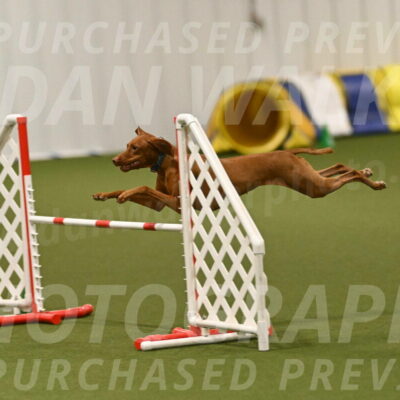 Indie-Jean-Bonness-02767