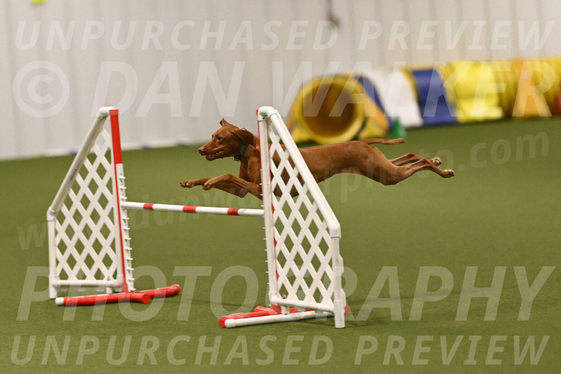 Indie-Jean-Bonness-02767