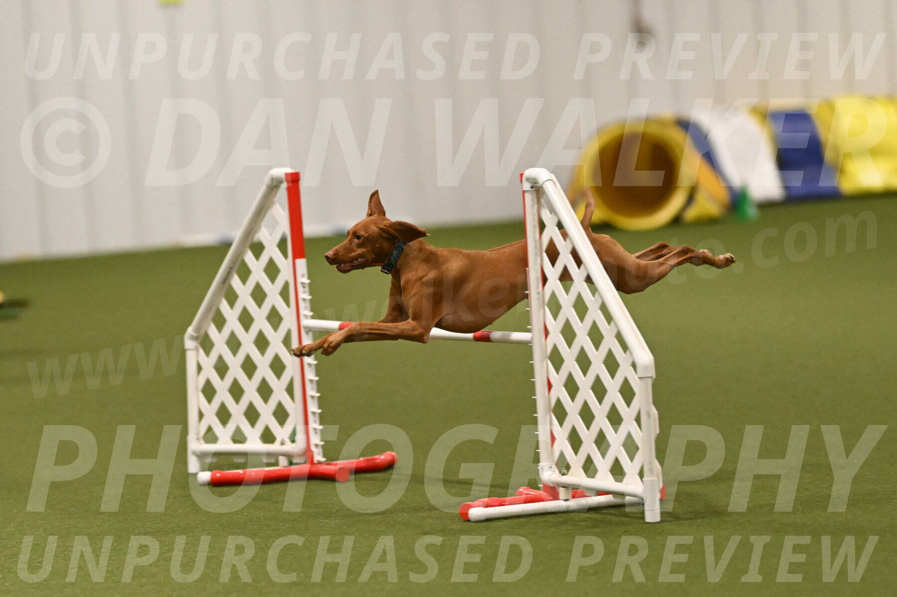 Indie-Jean-Bonness-02768