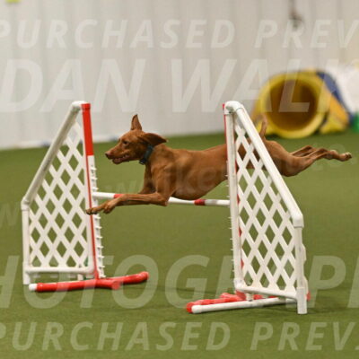 Indie-Jean-Bonness-02768