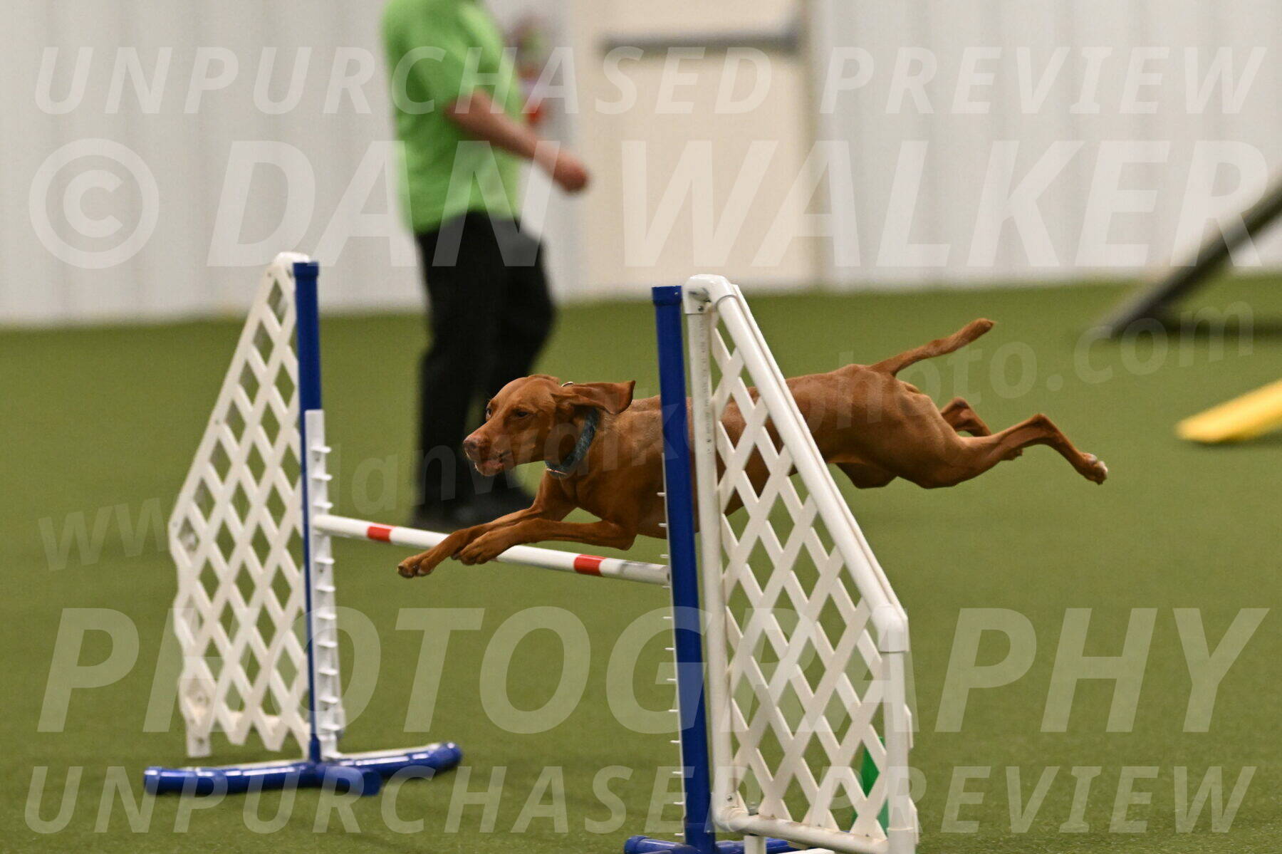 Indie-Jean-Bonness-02769