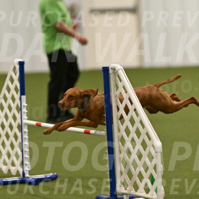 Indie-Jean-Bonness-02769