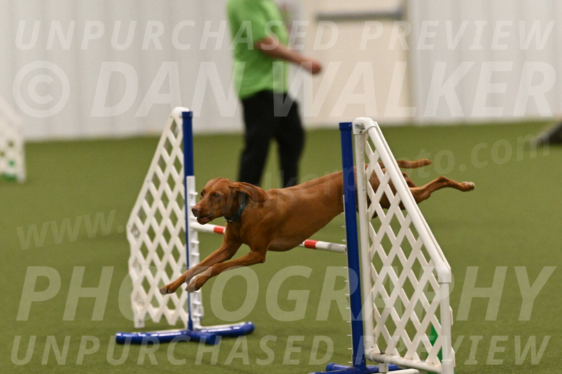 Indie-Jean-Bonness-02770