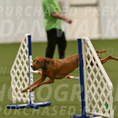 Indie-Jean-Bonness-02770