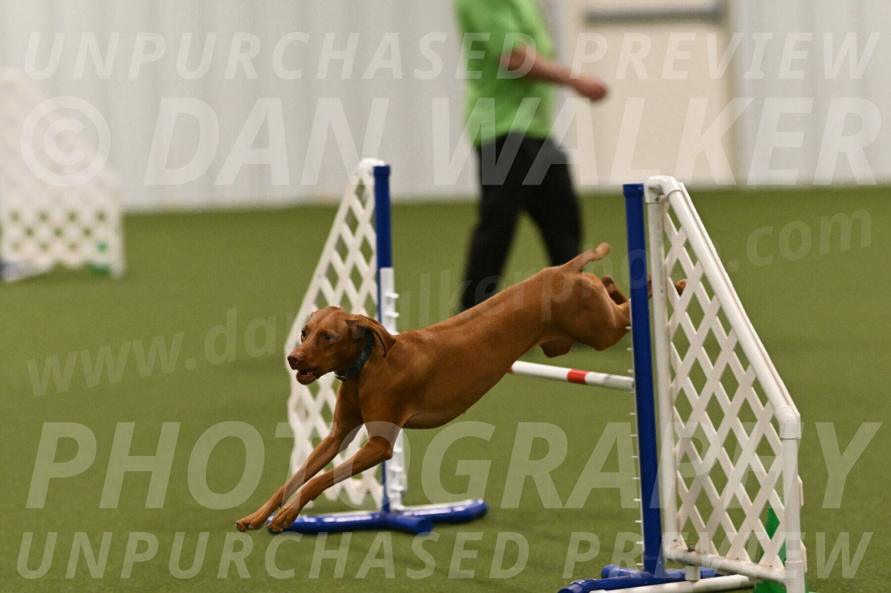 Indie-Jean-Bonness-02771