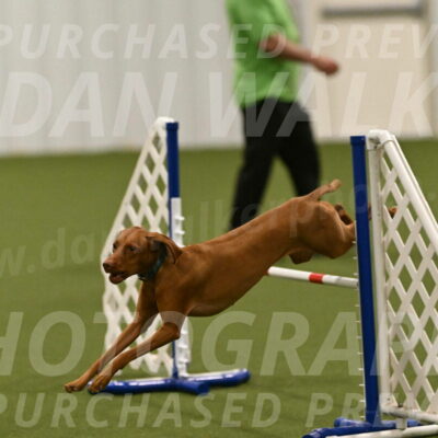 Indie-Jean-Bonness-02771