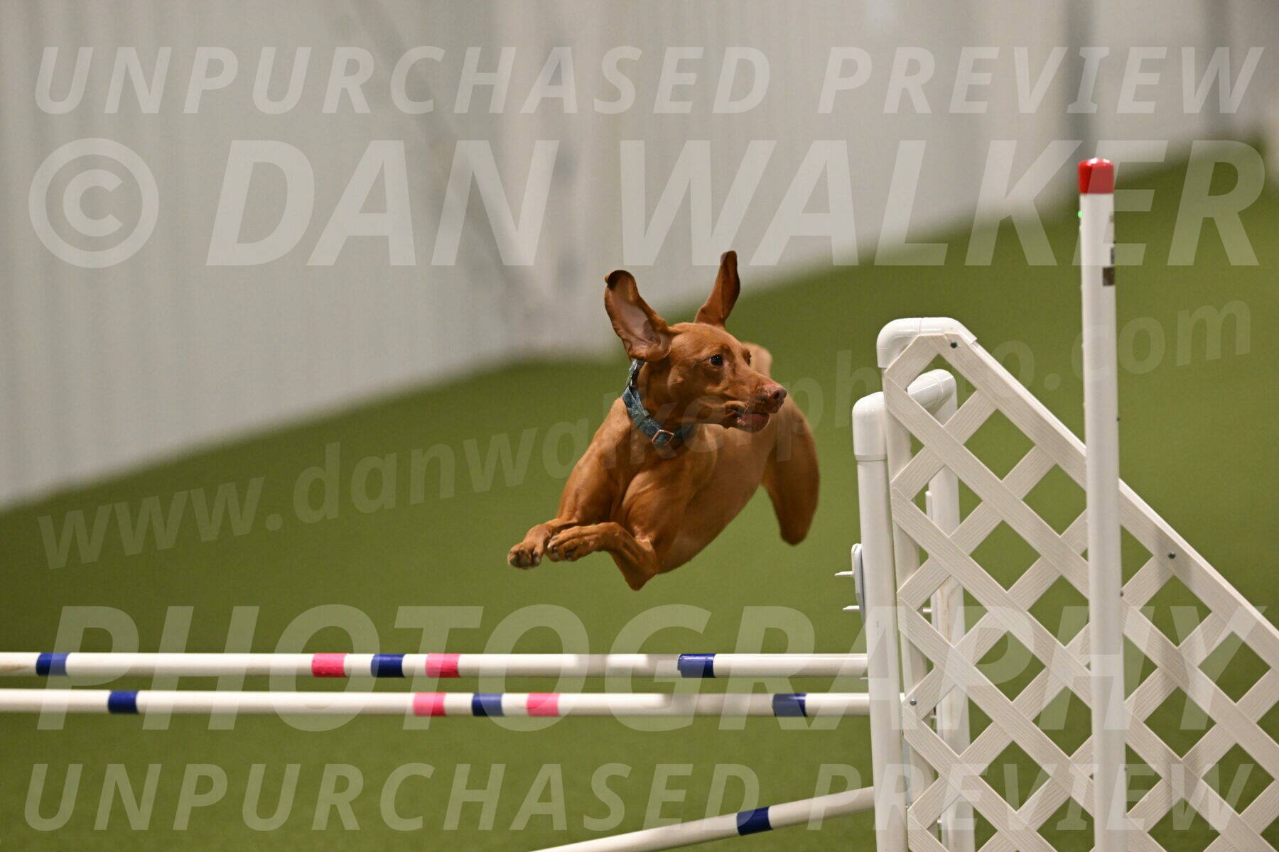 Indie-Jean-Bonness-02772