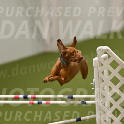 Indie-Jean-Bonness-02772