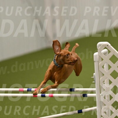 Indie-Jean-Bonness-02773