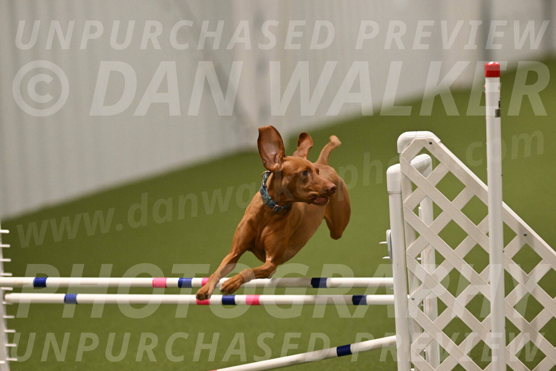 Indie-Jean-Bonness-02773