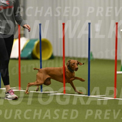 Indie-Jean-Bonness-02774