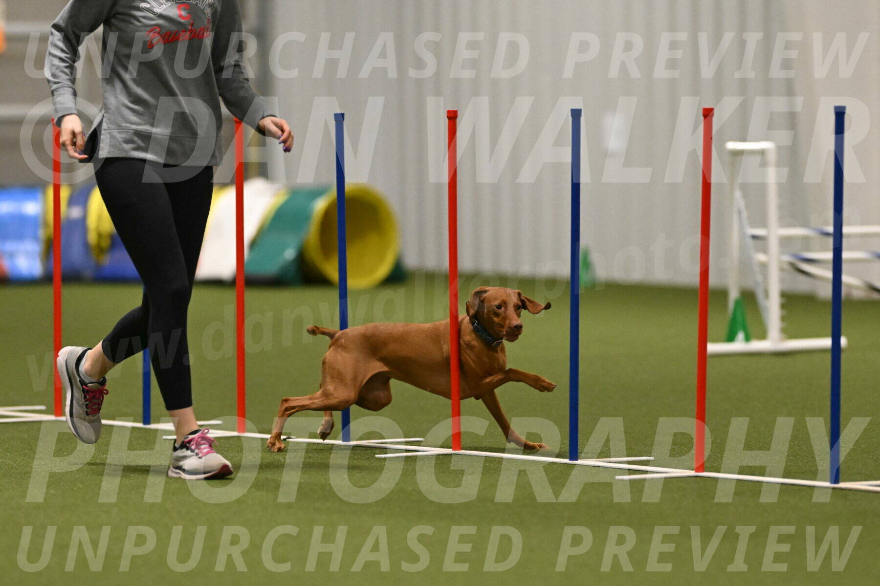 Indie-Jean-Bonness-02774